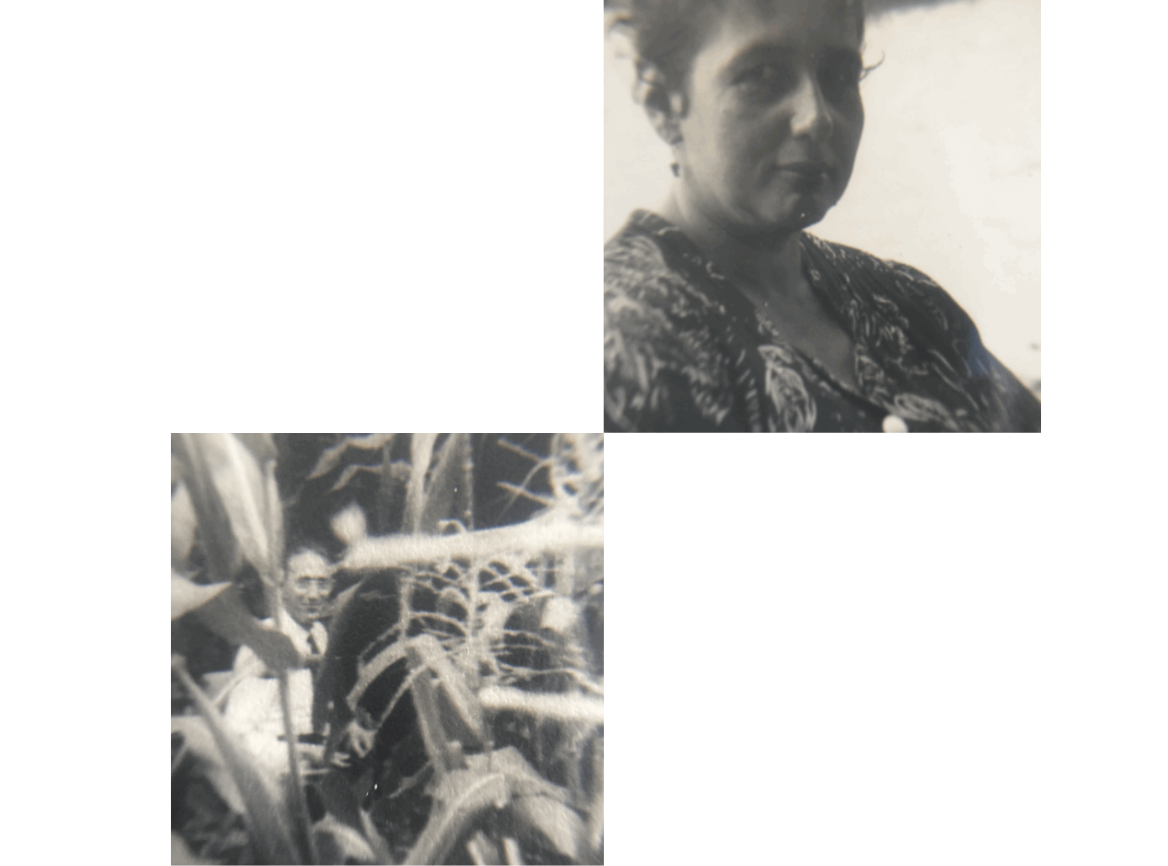 image 32
